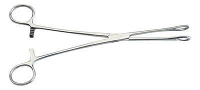 Graham Field Foerster Sponge Forceps